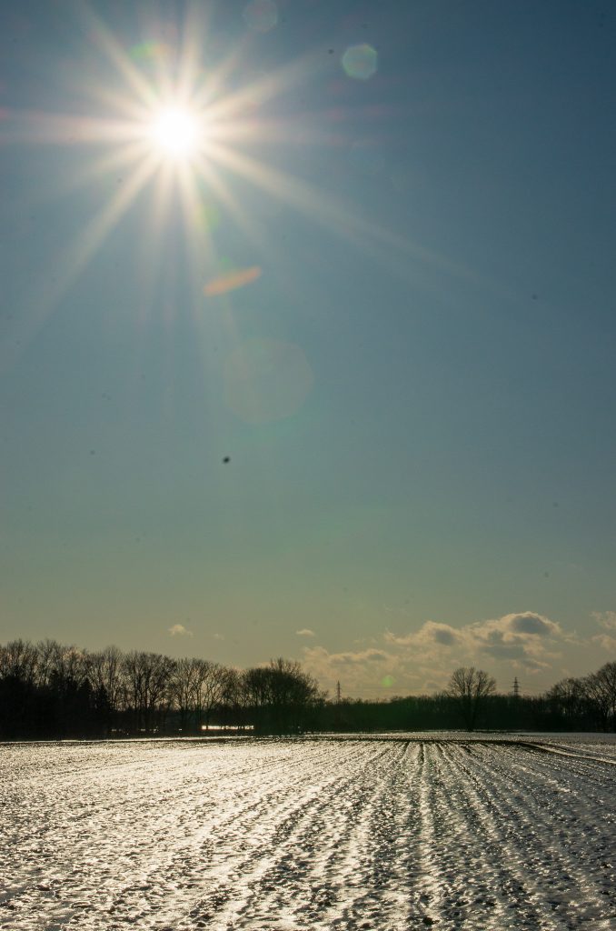 SIGMA 17-70mm F2.8-4 DC MACRO OS HSM で撮影